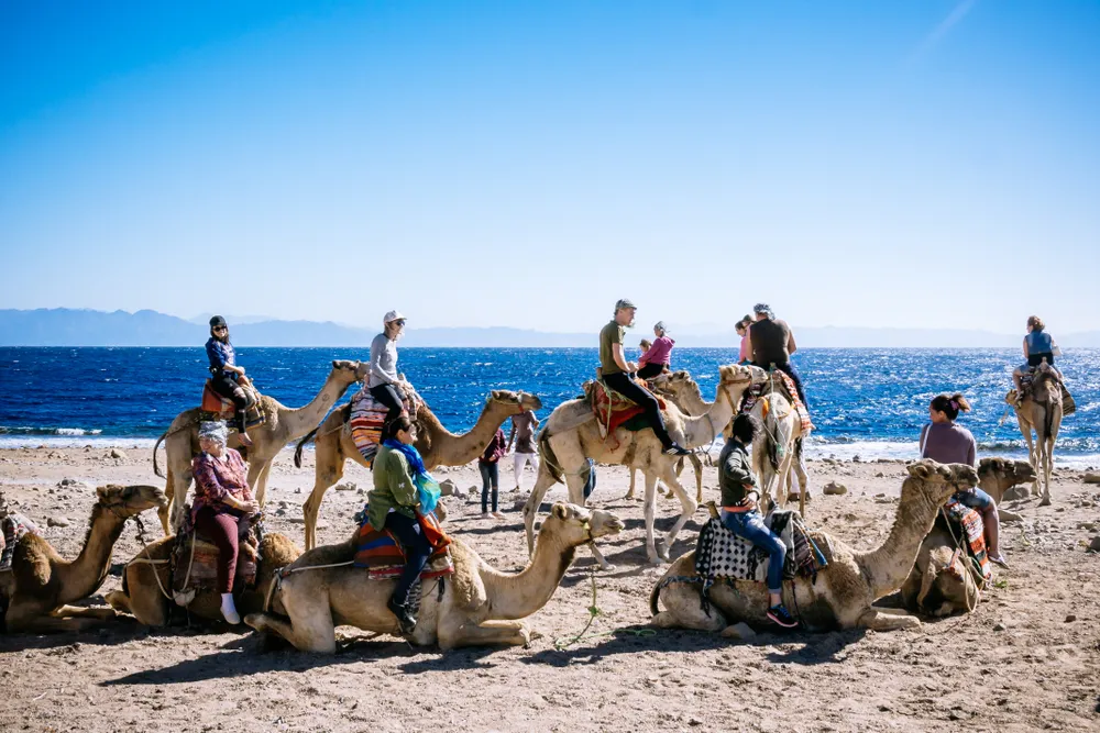 sinai